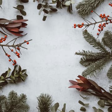 Cover Image for Sprachcafé: Advent in Deutschland