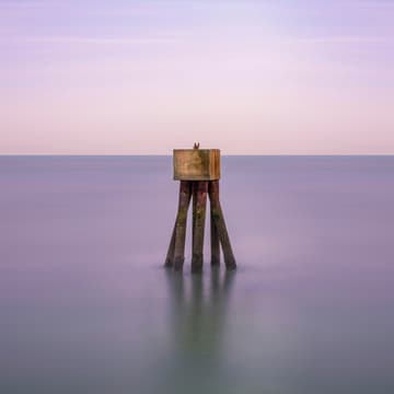 Cover Image for Using AI effectively
