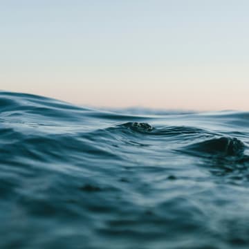 Cover Image for Ocean Data Stewardship 101: A primer by Intertidal Agency