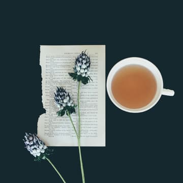 Cover Image for Tea Time with Mel: Dreaming