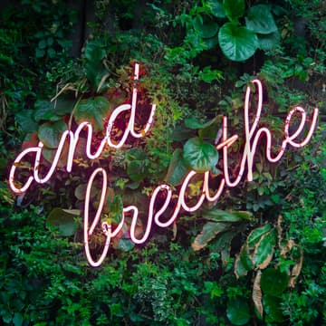 Cover Image for Breathe & Build