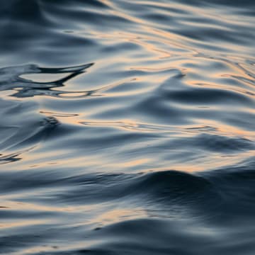 Cover Image for *Surf Session — Tide-Aligned
