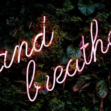 Cover Image for Your Energy Is Your Capital: Financial Wellness Experience & Burnout Prevention
