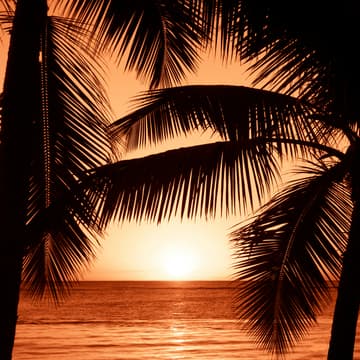 Cover Image for Miami HR Executive Dinner with HR Elevate
