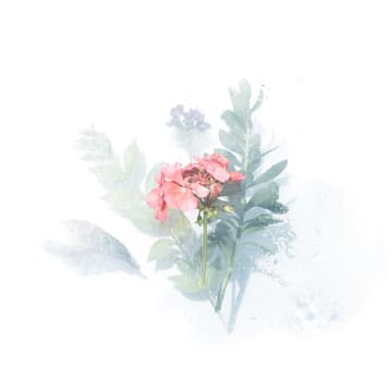 Cover Image for Watercolor w/ Jemimah