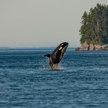 Cover Image for VTW 2026 Climate Tech Day: Marine Tech Morning