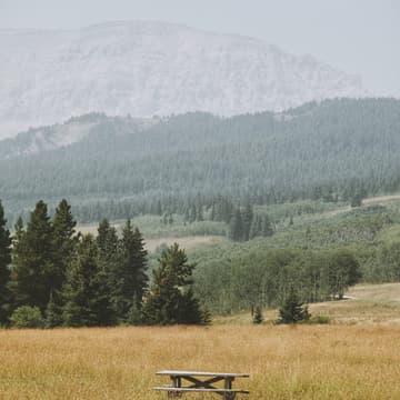 Cover Image for Picnic Set-up