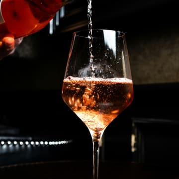 Cover Image for Wine & Painting