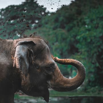 Cover Image for PostgreSQL and ClickHouse, Better Together