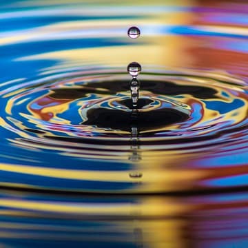 Cover Image for Ripple Effect