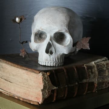 Cover Image for Sisterhood October Book Discussion