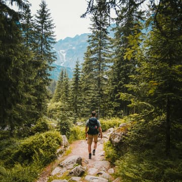 Cover Image for Weekday Hiking
