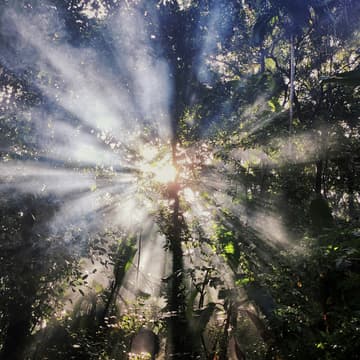 Cover Image for Monthly Soul Circle