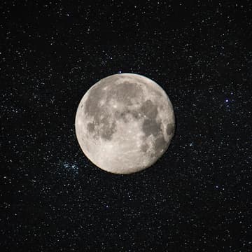 Cover Image for Buck Full Moon Walk