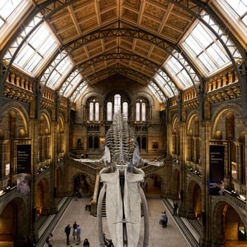 Cover Image for Science Museum trip with Royal Society for Blind Children