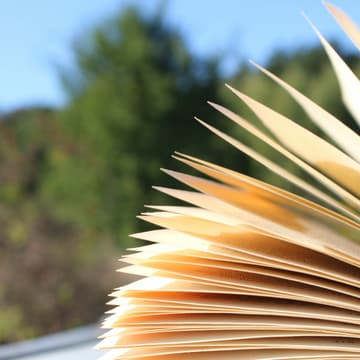 Cover Image for The Epiloguers Club: Silent Reading Session on 16th August