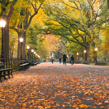 Cover Image for High Happy Hour Walk