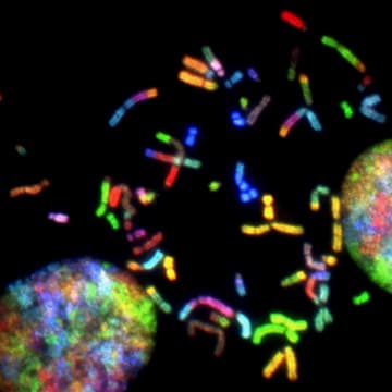 Cover Image for R42 VIP Speaker Series: AI for Life Science
