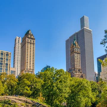 Cover Image for Members-Only Sculpt Class in Central Park ☀️