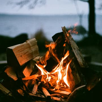 Cover Image for Canopy Campfire - How is AI changing your life?