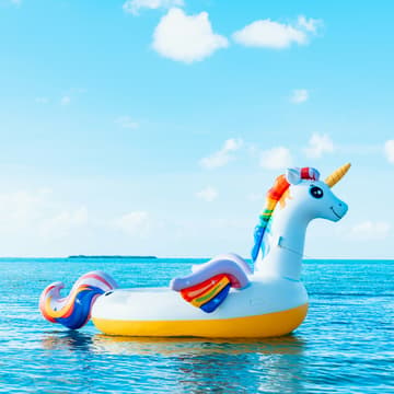 Cover Image for Climate Peeps Summer Celebration: Cedar Lake Flotilla