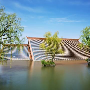 Cover Image for Physical climate risks vs. Disasters vs. Natural Catastrophes (NatCat): the difference - LIVE Interactive Workshop #15/32