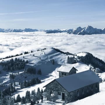 Cover Image for 🎄⛷️ Зустрічаємо Новий рік у Hannoverhaus! ❄️🏔️