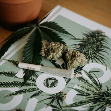 Cover Image for Cannabis 101