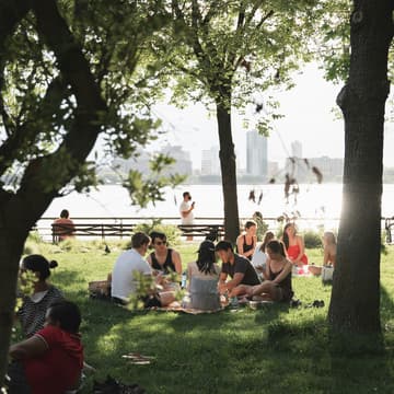 Cover Image for Cross-NYC Healthcare Community - Picnic Hangout