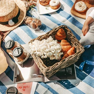Cover Image for Summer Picnic at Rockwood Park