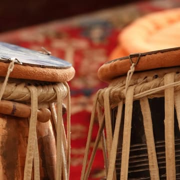 Cover Image for Musical Instruments of South Asia