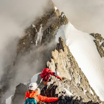 Cover Image for Мультипітч Grosse Bischofsmutze