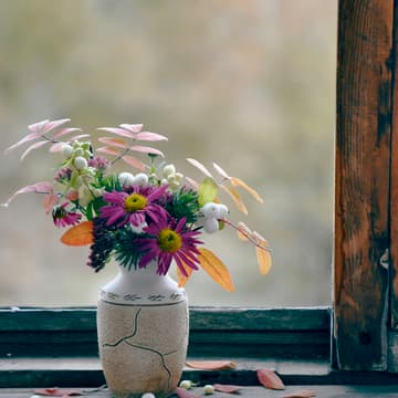 Cover Image for Bloom & Grow October
