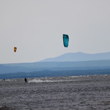 Cover Image for [Virtual] Sbur Vermont Chapter Launch