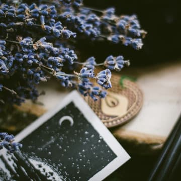 Cover Image for Witch Fest- Noche de Brujas
