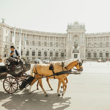 Cover Image for City Tour