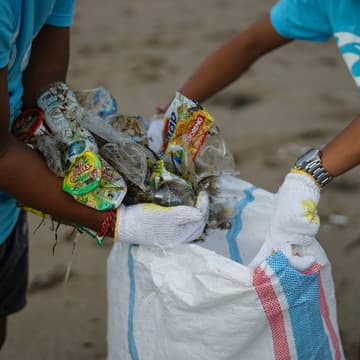 Cover Image for Kuhlman Gully Cleanup
