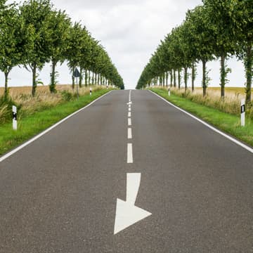 Cover Image for Career Transitions | SF Liminal Community