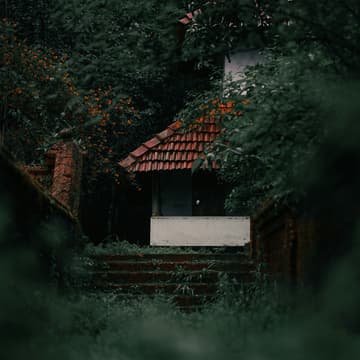 Cover Image for NEARVANA // ArQ Winter Residency