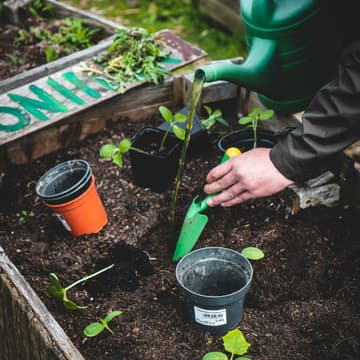 Cover Image for Fordham Faculty & Administrators: Volunteer at Van Cortlandt Park