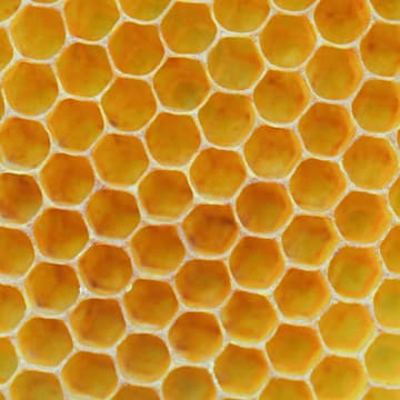 Cover Image for Nonprofit Hive ATX - locals networking event