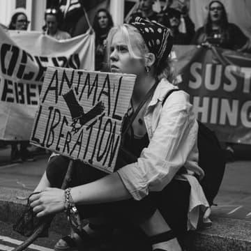 Cover Image for Should EUR go vegan?