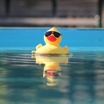 Cover Image for Susie the Duck Parade