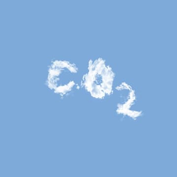 Cover Image for Community Carbonates: Capturing Carbon Collectively