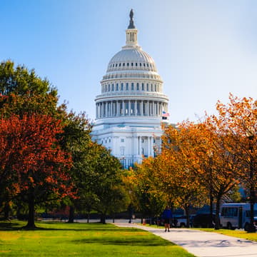 Cover Image for The Washington IP Circle