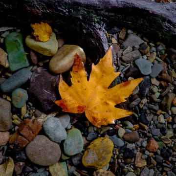 Cover Image for Sun, Moon & Stars Group Coaching - November