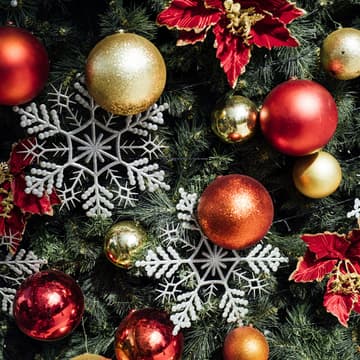 Cover Image for December Branch Festive Soiree