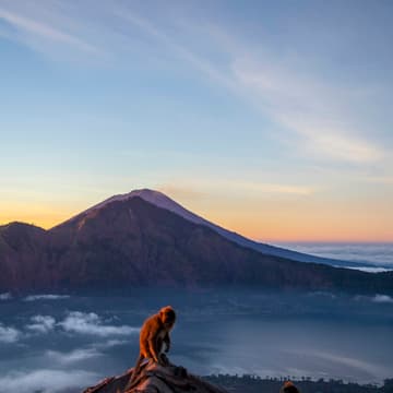 Cover Image for Sunrise Hike