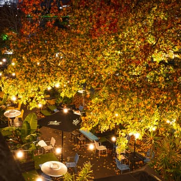 Cover Image for NYC CTOs & Tech Founders Night: Secret Garden Edition