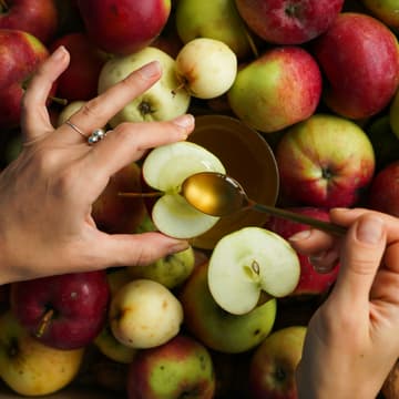 Cover Image for Pre Rosh Hashana Event